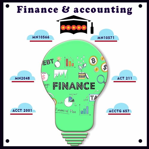 Finance and accounting Writing assignment help
