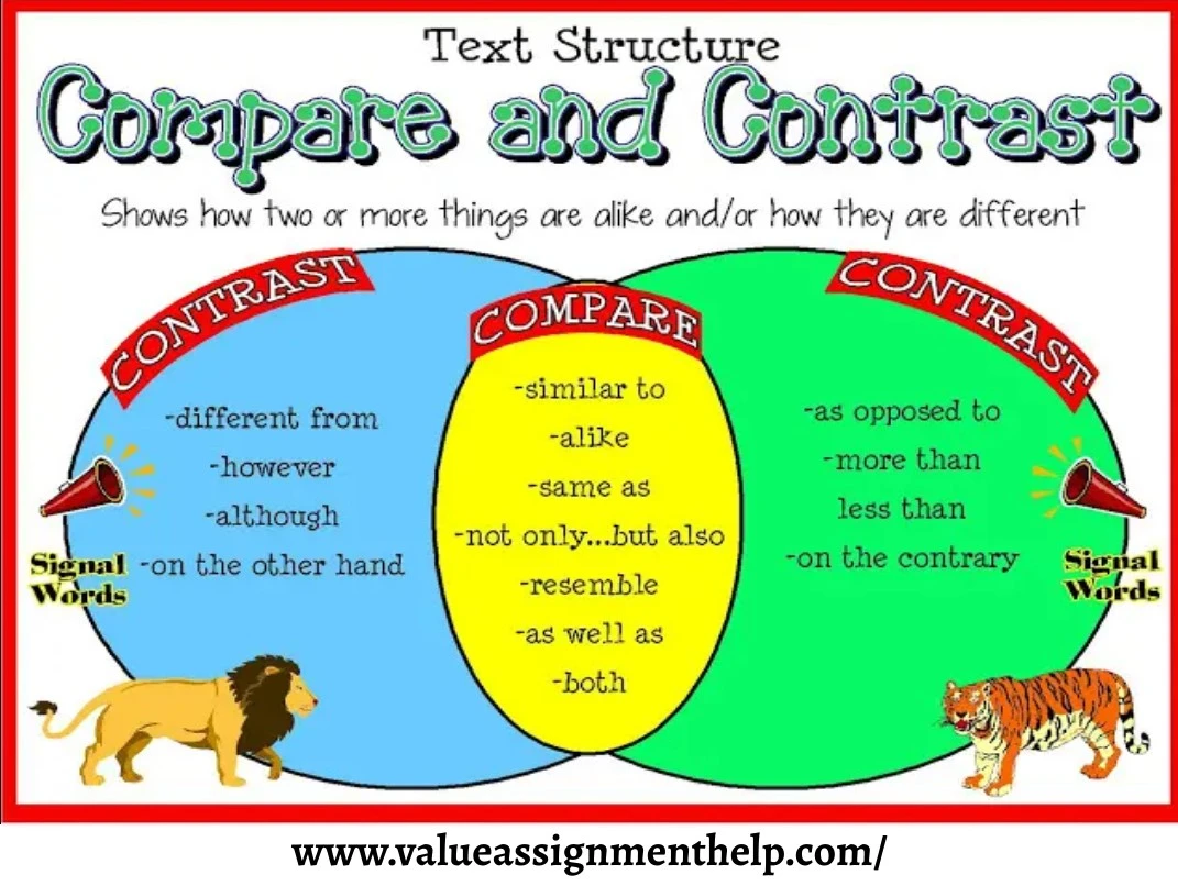 Compare contrast essay help