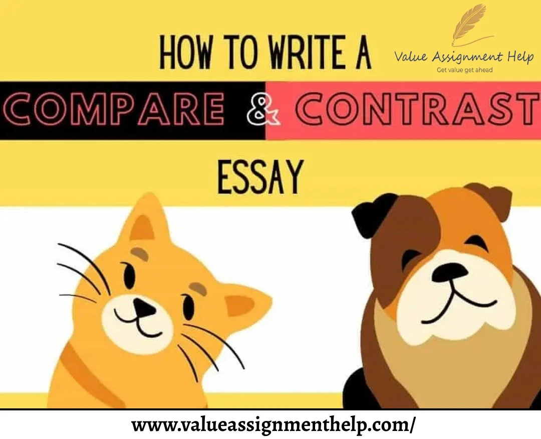 compare and contrast essay